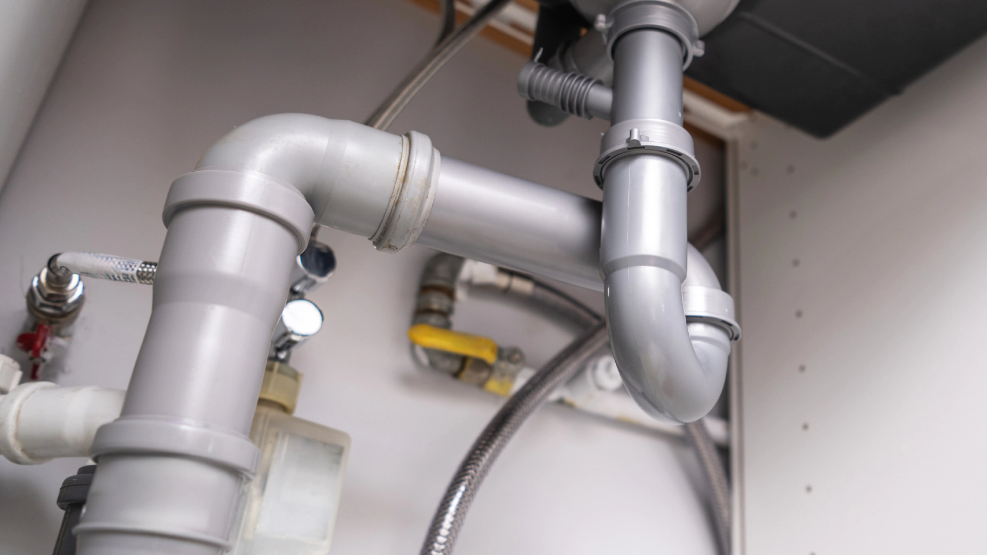 homepage hero image 2